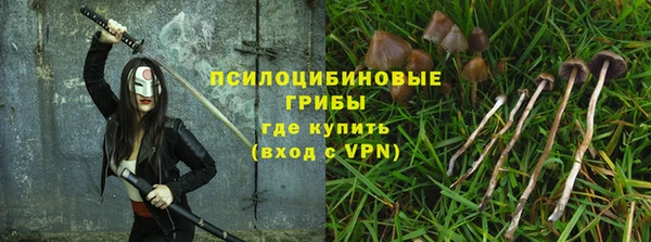 дмт Алексин