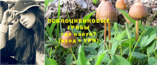 дмт Алексин