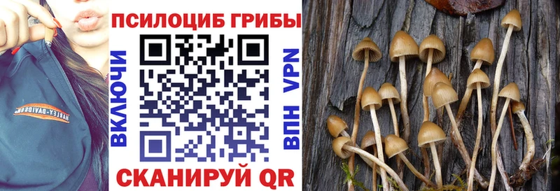 Галлюциногенные грибы GOLDEN TEACHER Заинск