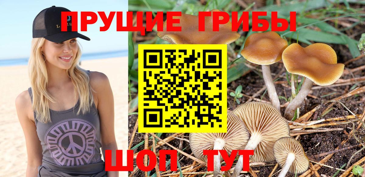 МАРИХУАНА  Гашиш  Вход с VPN  КЕТАМИН  Заинск  NBOMe  Меф МЯУ МЯУ   Героин  Конопля  Кокаин 