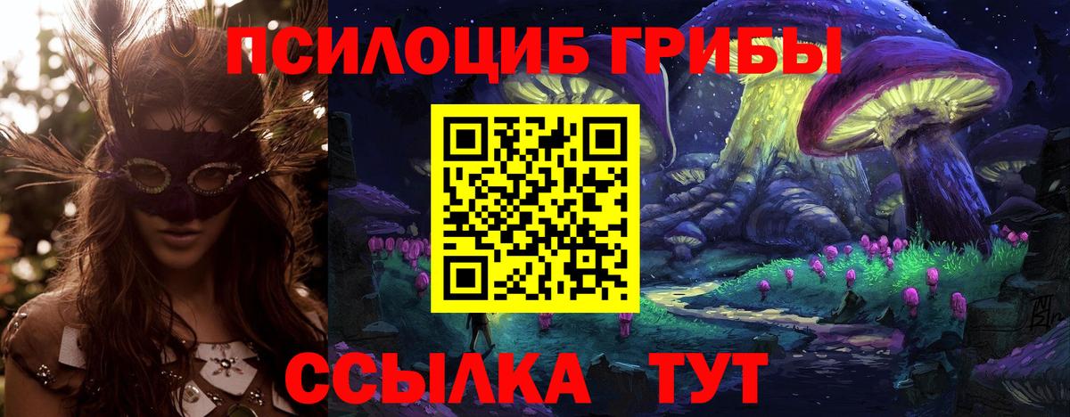 Псилоцибиновые грибы мицелий Заинск