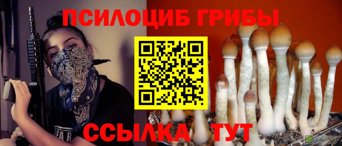 Галлюциногенные грибы мицелий  Вход с VPN  Псилоцибиновые грибы ЛСД  Заинск 